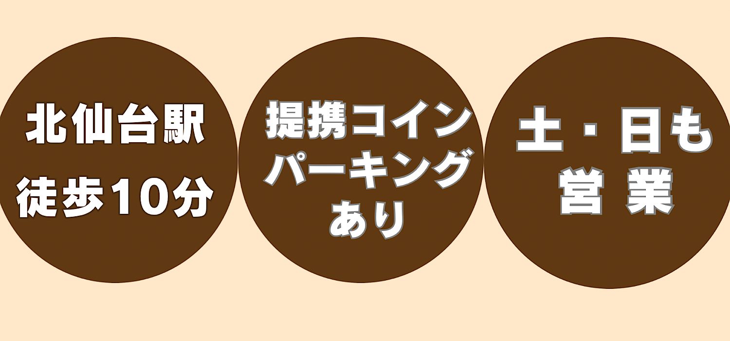 肩の動きを確認する施術