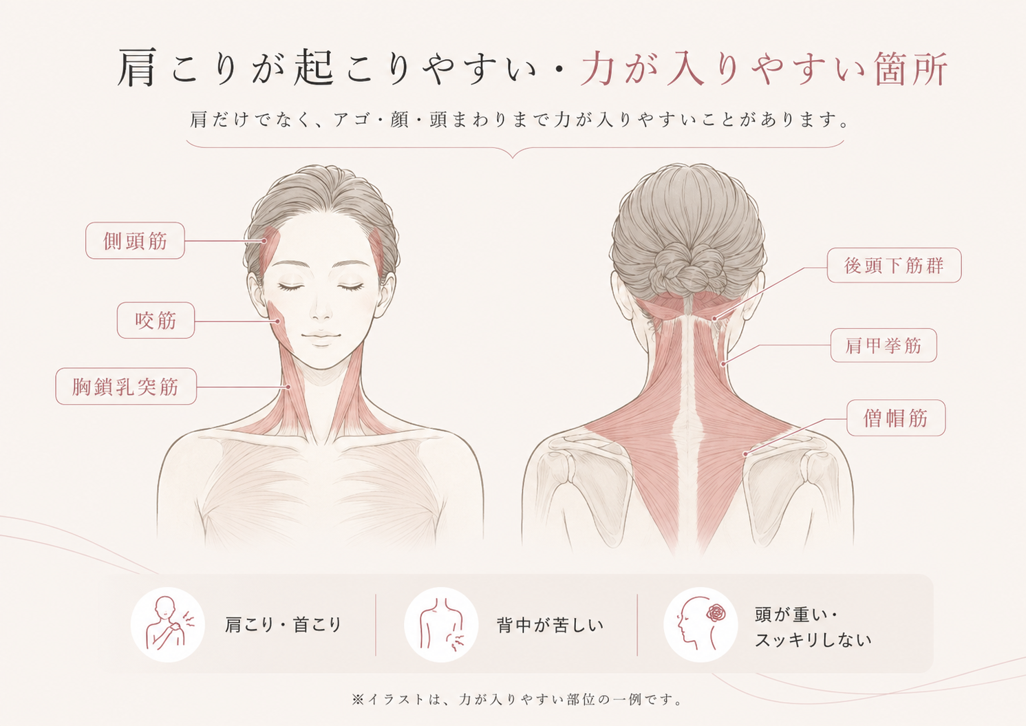 アゴ・こめかみ・首・肩のつながりを示すイラスト